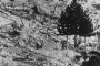 07-gioia-dei-marsi-rasa-al-suolo-dopo-il-sisma-del-1915
